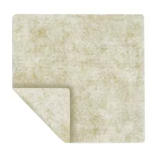 Algicell Ag Antimicrobial Silver Dressing 2" X 2"- 1 Each