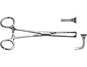 Alimed Allis Tissue Forceps Allis Tissue Forceps, 10", 5x6 Teeth, Straight, German - 98FCP2-13