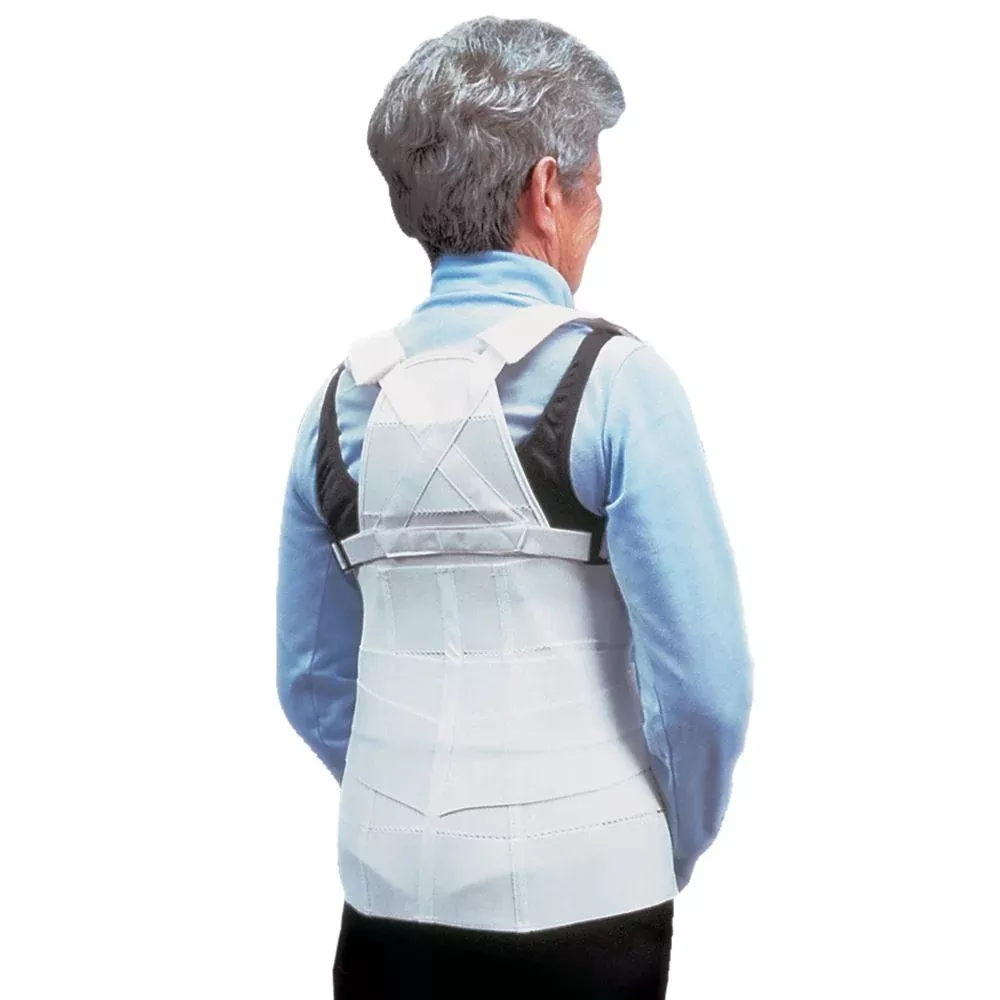 Alimed Lumbar and Thoracic Support Lumbar & Thoracic Support, Large - 60718/NA/LG