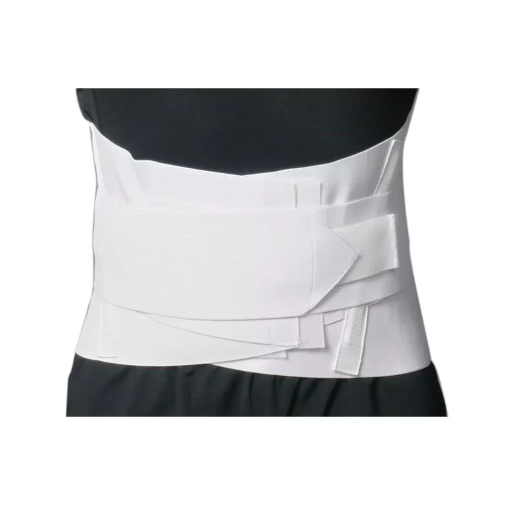 AliMed Lumbosacral Support Plus Lumbosacral Support Plus,2X-Large - 65974