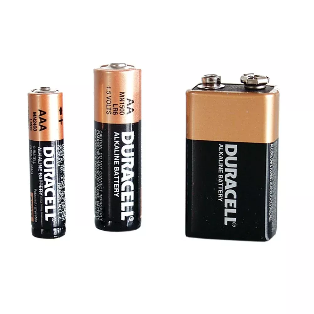 Batteries AA Batteries, 12/pk - 74603