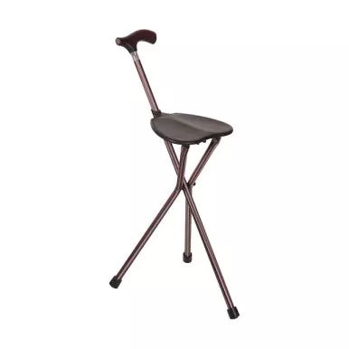 Briggs 502-2002-5104 - Switch Sticks Seat Stick, 2-in-1 Walking Cane Seat, Folding, Kensington