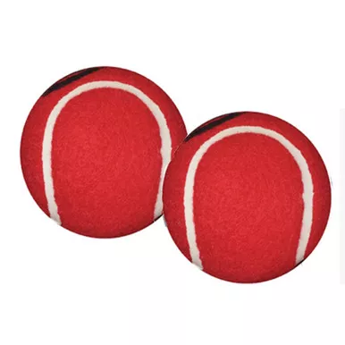 Briggs 510-1035-0300 - Walkerballs, Gray, Pair