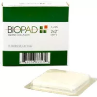 Skinsafe B220302 - Biopad Collagen Dressing 2" x 2"