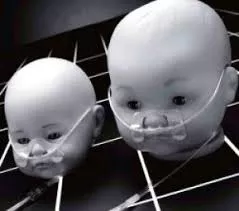 Tender Grip Infant Skin Fixation System- 1 Each