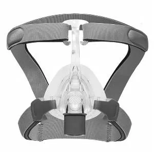 Viva Complete Mask With Headgear, Large- 1 Each
